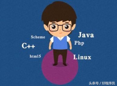 好程序员培训机构,为什么学习it技术要去培训机构