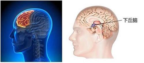 宇宙最小的物质是弦吗,宇宙中最小的物质弦是什么