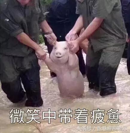 去香港和去日本哪个便宜,去香港和日本哪里便宜