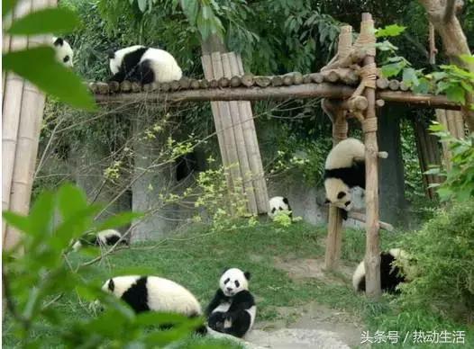 成都人和重庆人的区别,李伯清成都人和重庆人的差异