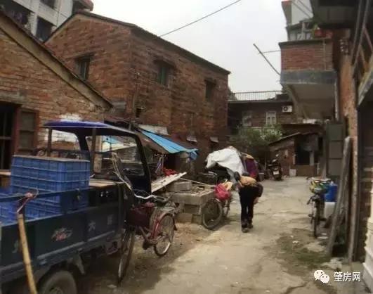 肇庆农村未来发展,广东肇庆农村发展怎么样