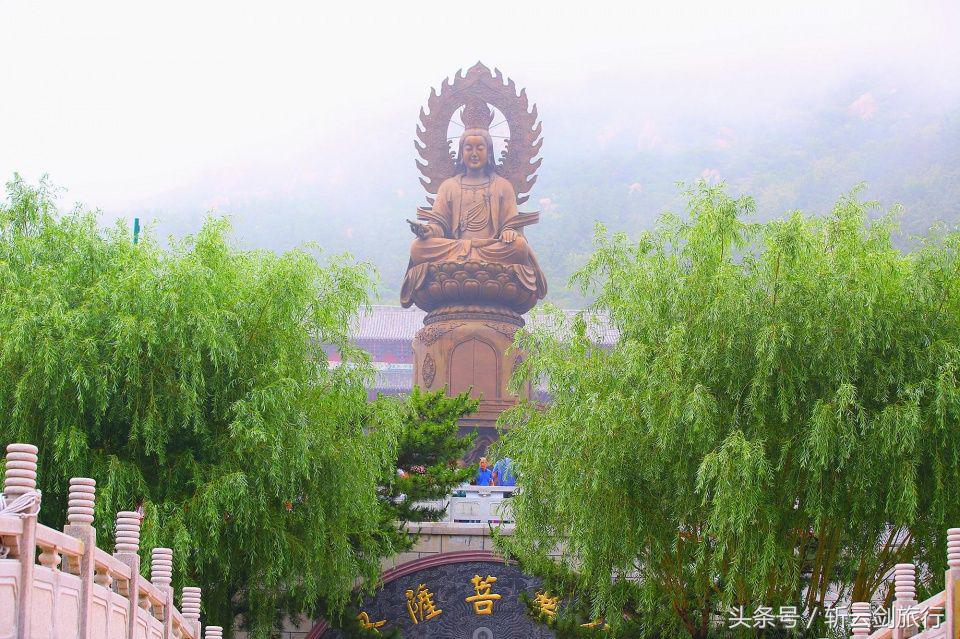 荣成烟墩角天鹅拍摄机位,世界最大天鹅