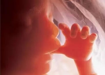 孕妇生孩子压肚子肚子会不会变小,怀孕显肚子比一般的孕妇肚子大