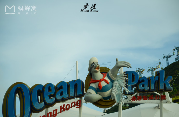 目前国内最好的海洋馆排名,全国排名前十的海洋馆