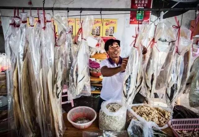 休渔期适合去沿海城市旅游吗,休渔期海岛吃什么