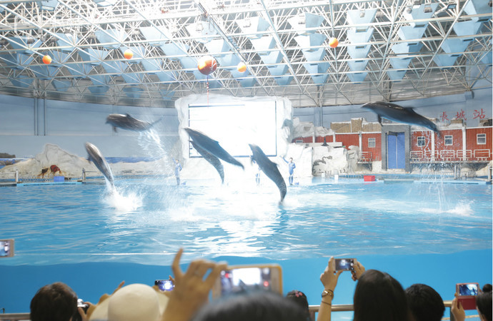 目前国内最好的海洋馆排名,全国排名前十的海洋馆