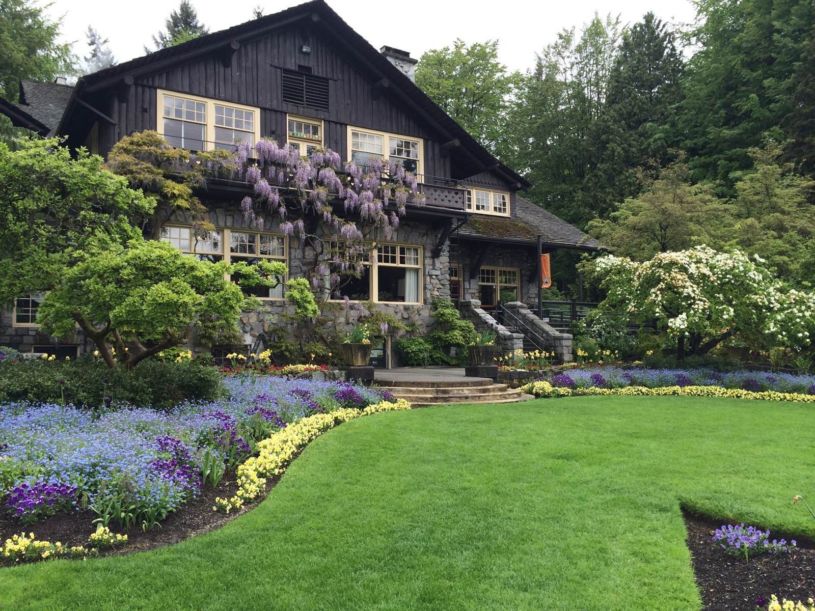 这个「全球宜居城市」已被中国人占领,“不学中文就找不到工作”