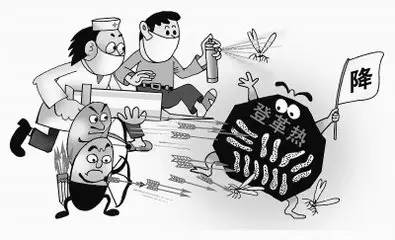 宝宝被蚊子叮咬感染登革热，这几天仅杭州地区就爆发100多病例