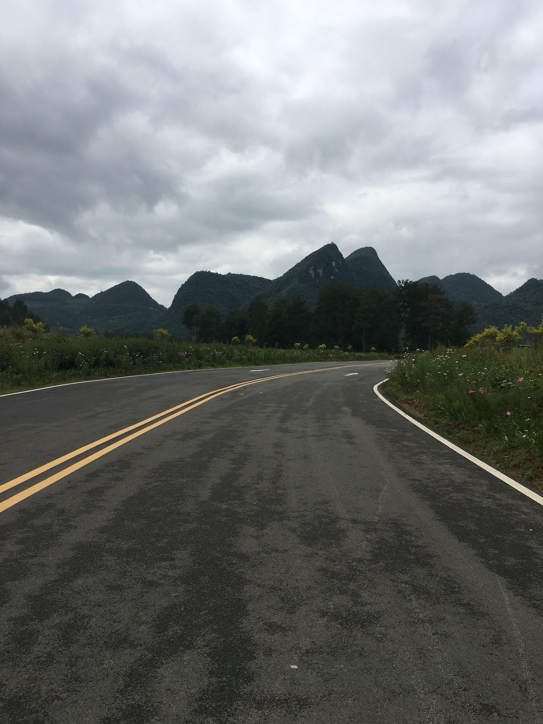 贵州金沙旅游项目,金沙县台金农业观光园