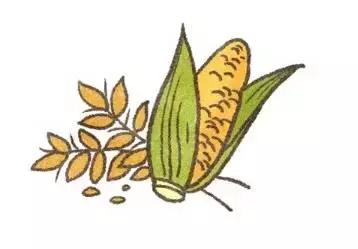 猫咪过敏的症状,猫咪过敏的症状有什么