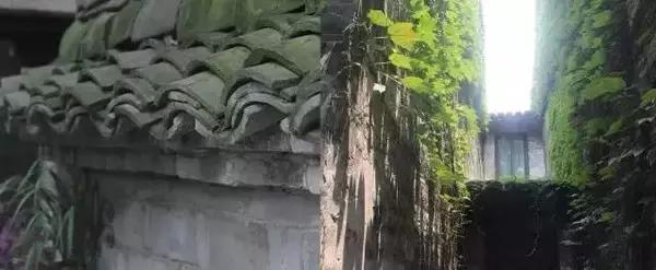 乌镇西栅里最美的民宿,乌镇西栅里的民宿