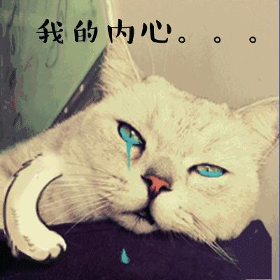 扎心职业,威海高薪职业有哪些