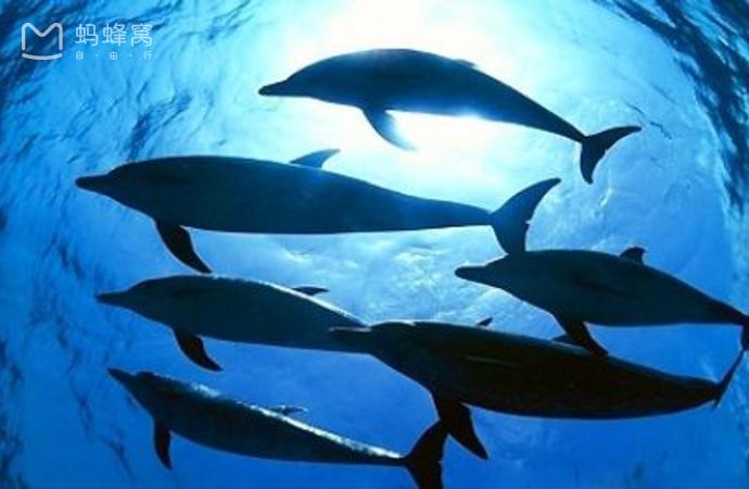 目前国内最好的海洋馆排名,全国排名前十的海洋馆