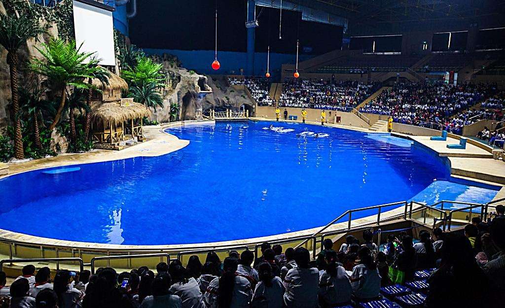 目前国内最好的海洋馆排名,全国排名前十的海洋馆