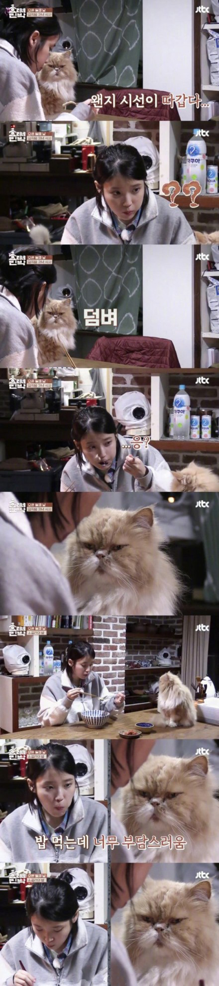 真正的孝利家民宿,孝利家民宿必买清单