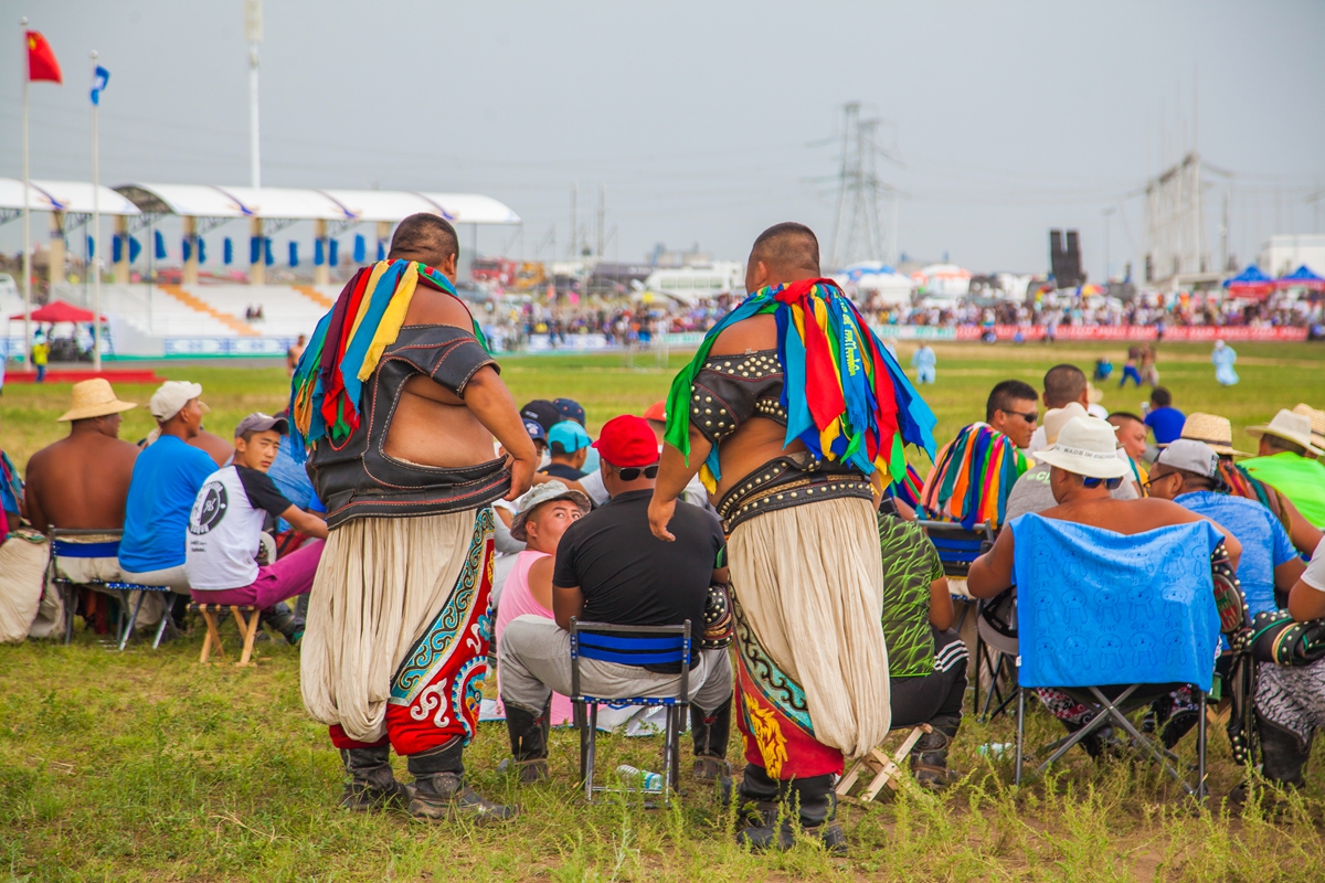 去内蒙古必须要知道什么知识,为什么那么多人去内蒙