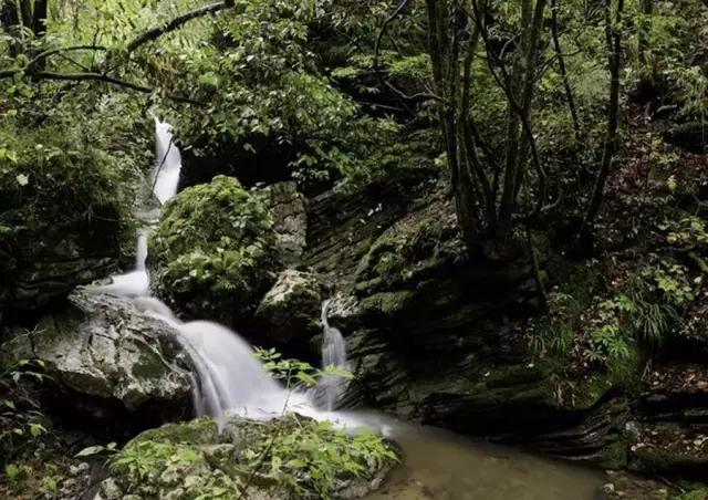 成都周边的野瀑布,成都周边超级宽大瀑布