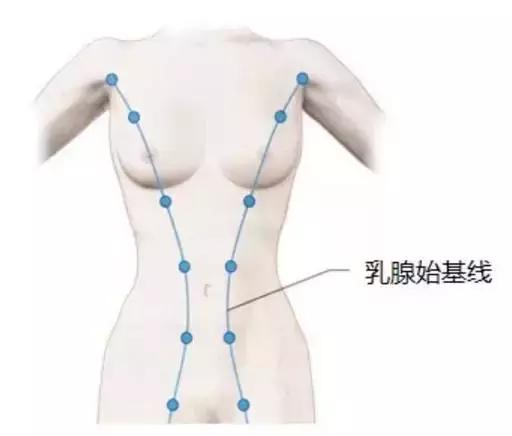 腋下两团赘肉是副乳吗,怎么消除副乳腋下肉