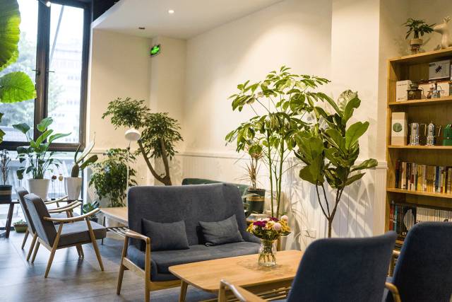 都抱怨斑马君最近没推荐新店,今天打包十家给你够不够?