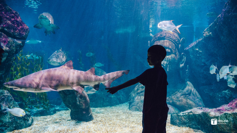 回忆那年在泰国踏浪看海,带你一起去泰国看海