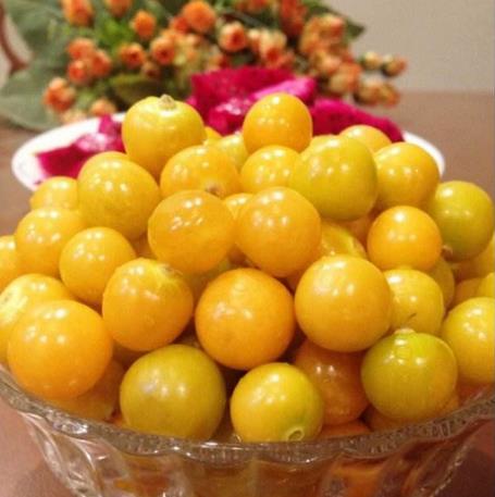 0831今天吃什么-含羞果