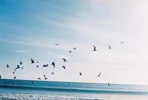 什么叫开学综合症,上大学恋家焦虑症怎么办