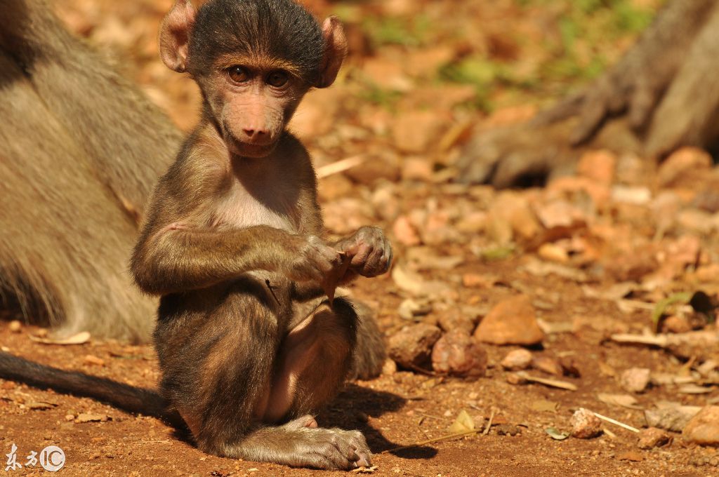 新媒体训练营2阶段,新媒体训练营近况