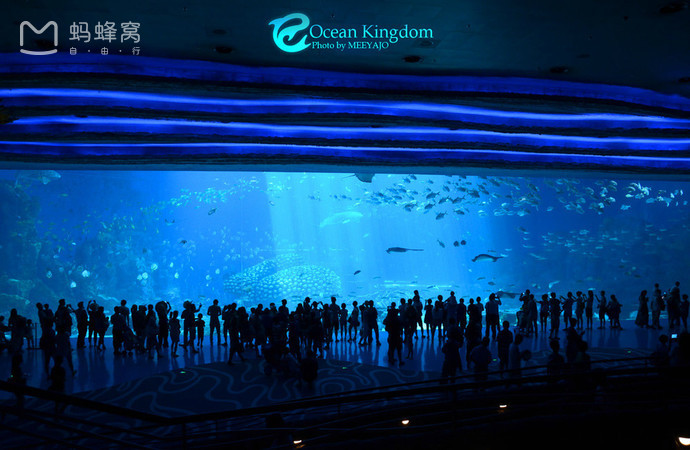 目前国内最好的海洋馆排名,全国排名前十的海洋馆