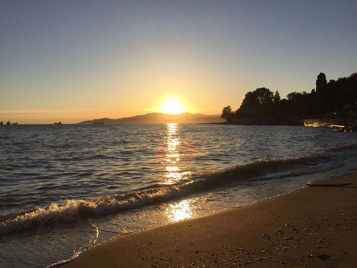 这个「全球宜居城市」已被中国人占领,“不学中文就找不到工作”