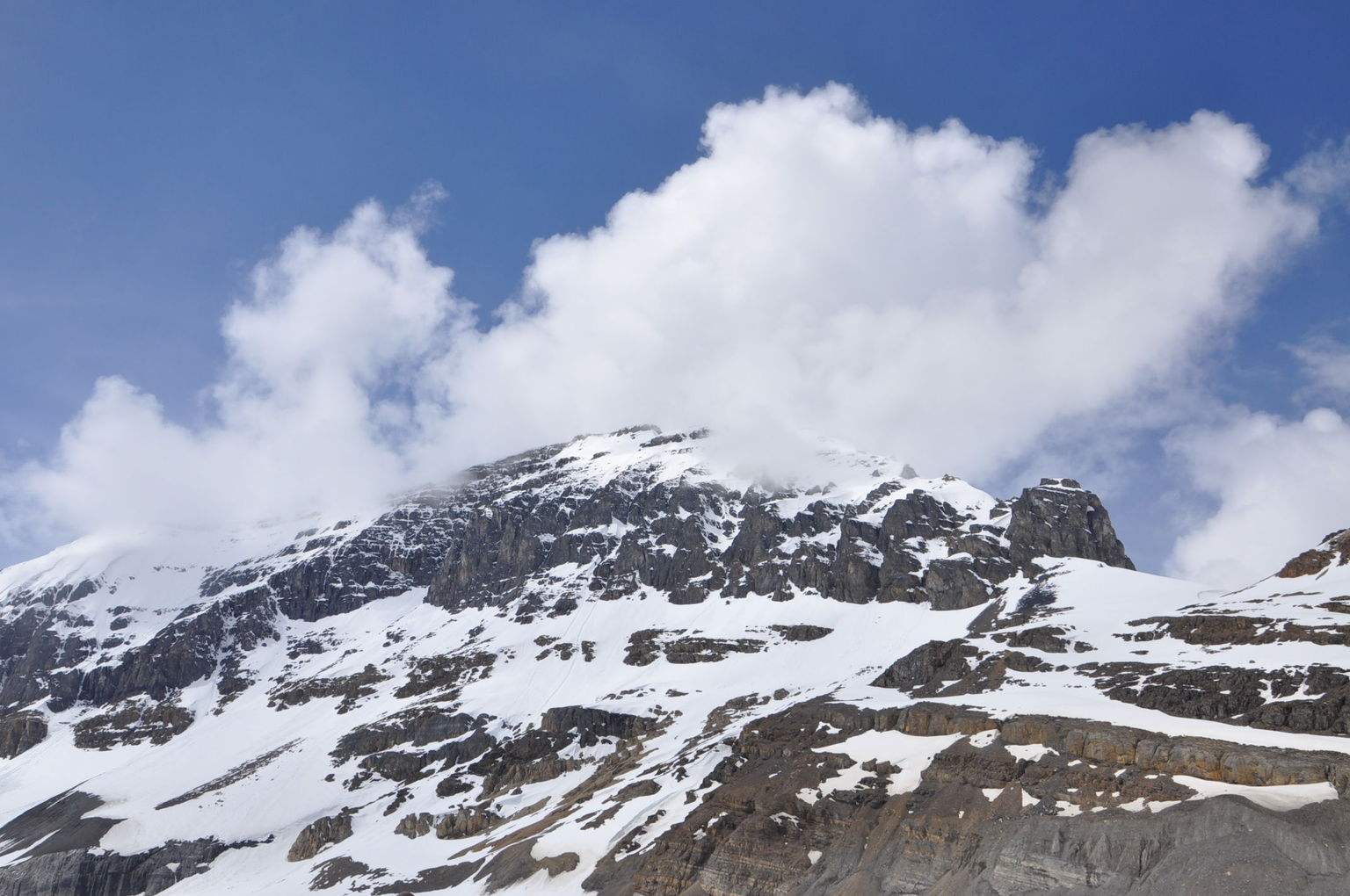 这个「全球宜居城市」已被中国人占领,“不学中文就找不到工作”