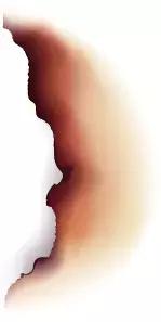 趁着开学季,顺便带爸妈来华山吧!