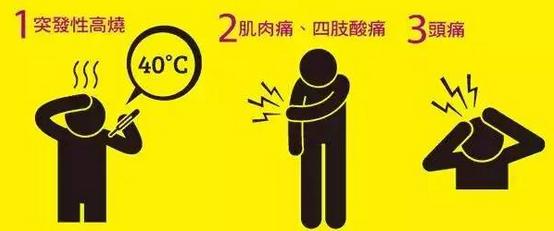 宝宝被蚊子叮咬感染登革热，这几天仅杭州地区就爆发100多病例