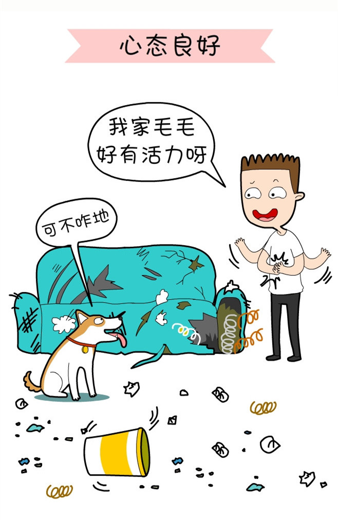 关于一个铲屎官和四只猫的漫画,铲屎官照顾猫的漫画