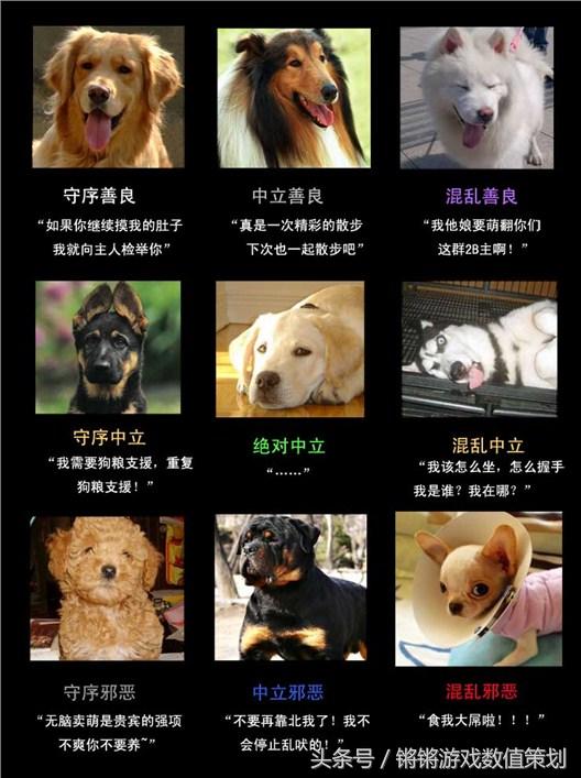 游戏常识怎么教,游戏常识