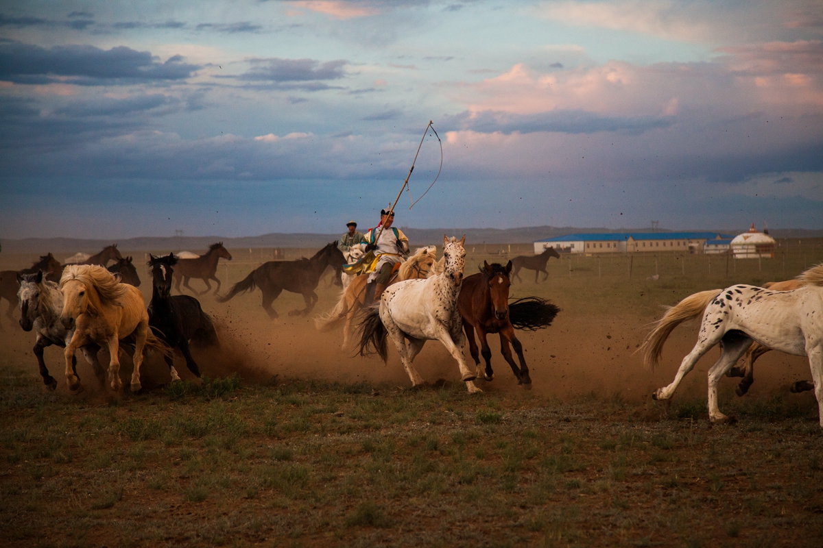 去内蒙古必须要知道什么知识,为什么那么多人去内蒙