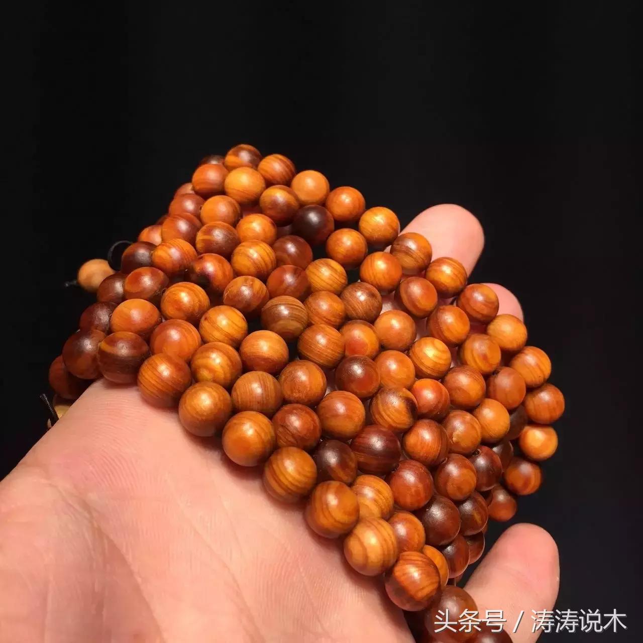 崖柏护理方法,崖柏保护条例