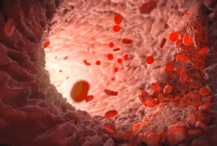 中远老总踢球猝死曾以一分之差丢掉冠军