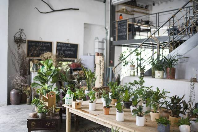 都抱怨斑马君最近没推荐新店,今天打包十家给你够不够?