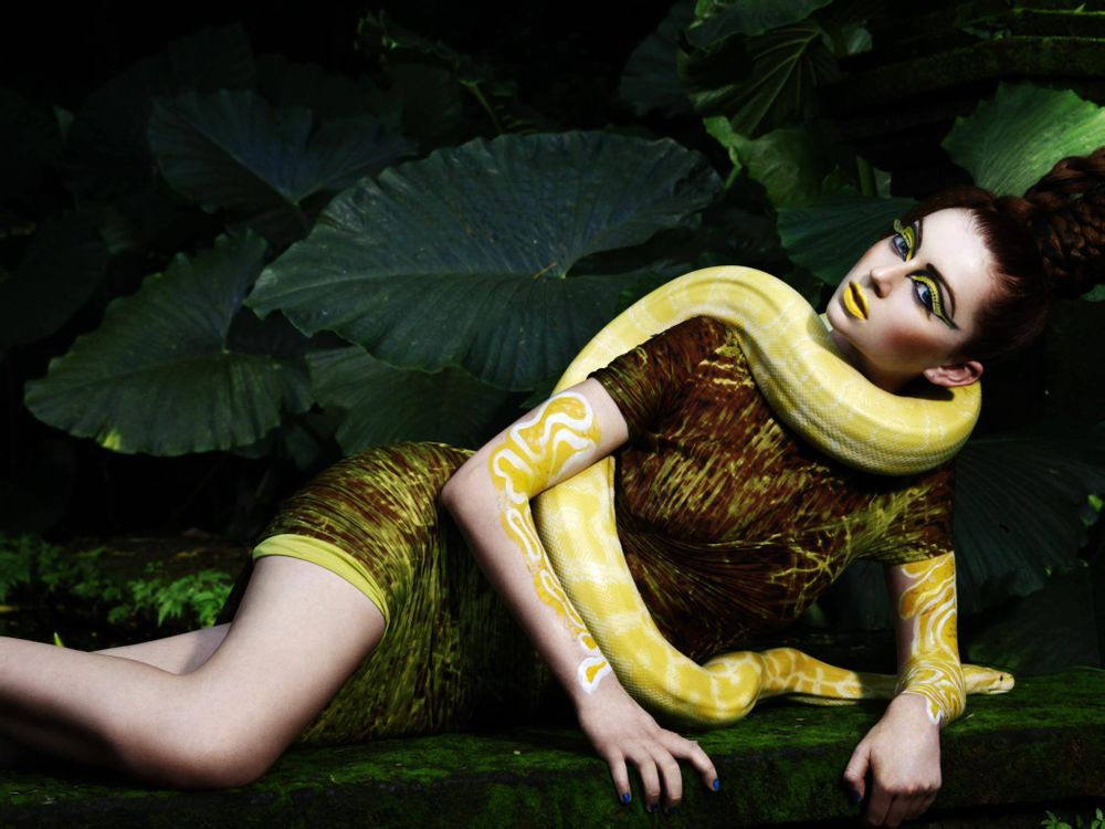 综艺节目最新推荐,全美超模大赛综艺长视频