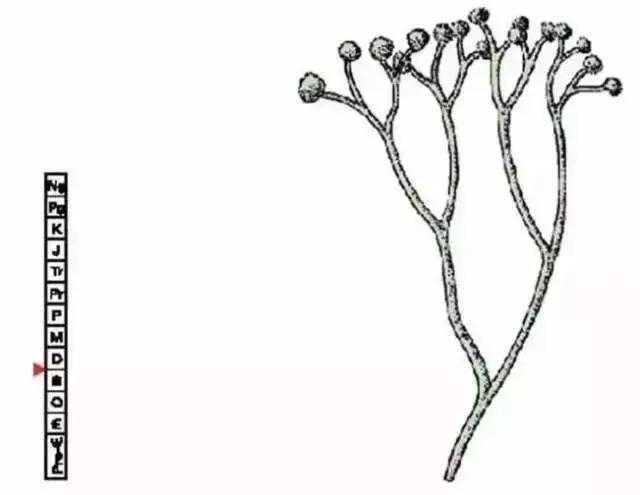 在宇宙的年历中，我们的存在连半秒钟都不到！