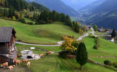 四大奶粉是哪几个品牌,全球四大有机奶粉