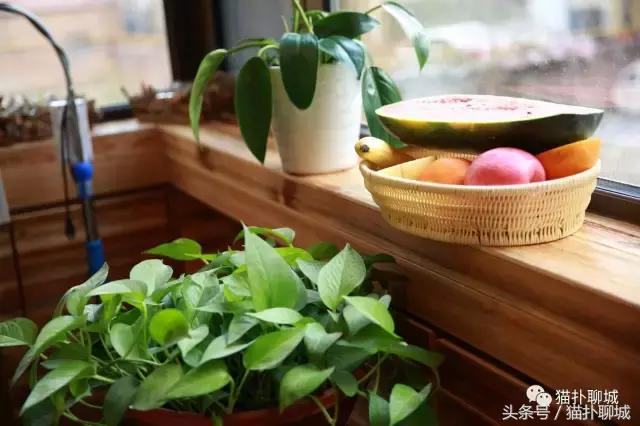 聊城这群美女个个都是纹绣高手，他们藏在新东方广场的秘密基地里