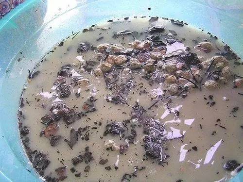 9月至12月什么花好看,9月适宜养的花