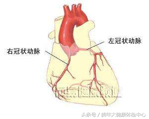急性冠脉综合征双抗,急性冠脉综合征双抗治疗剂量