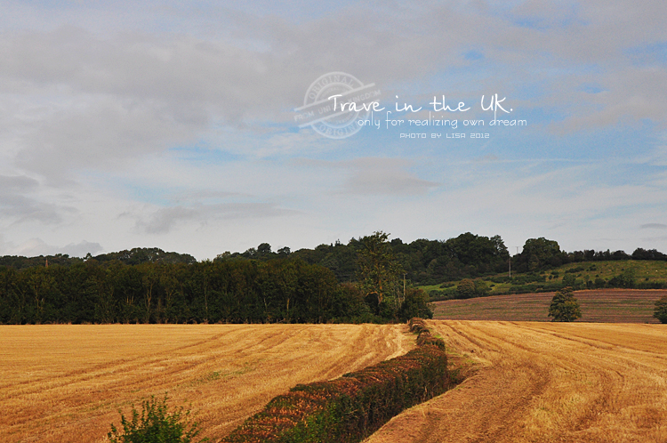 曼彻斯特老特拉福德球场航拍,曼彻斯特老特拉福德球场