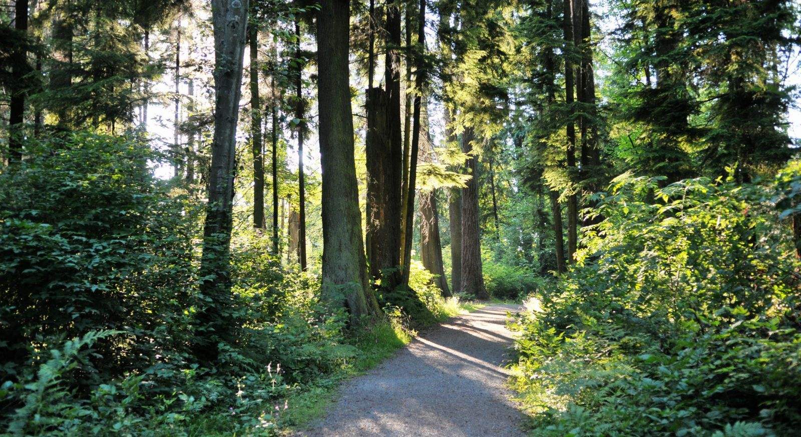 这个「全球宜居城市」已被中国人占领,“不学中文就找不到工作”