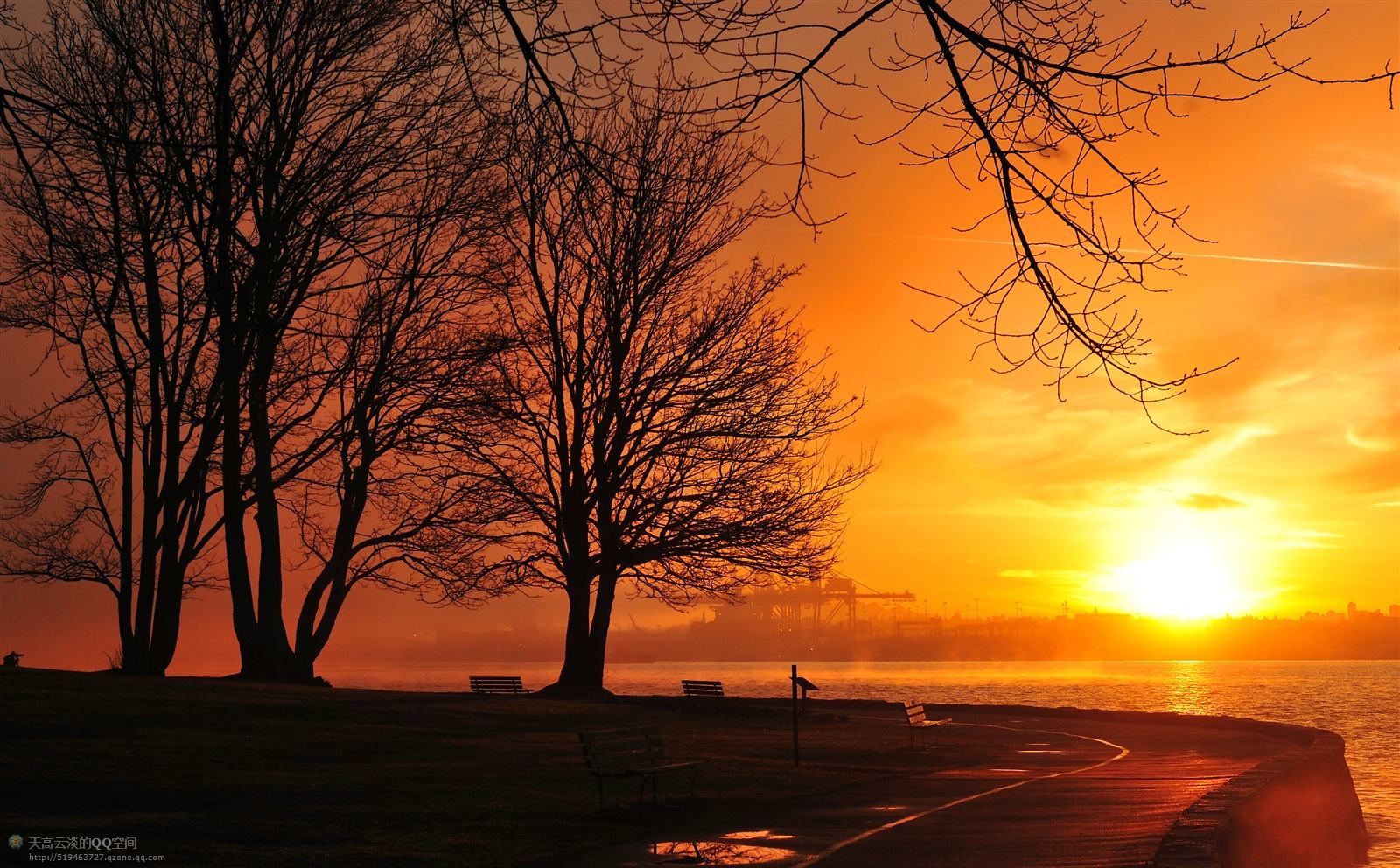 这个「全球宜居城市」已被中国人占领,“不学中文就找不到工作”