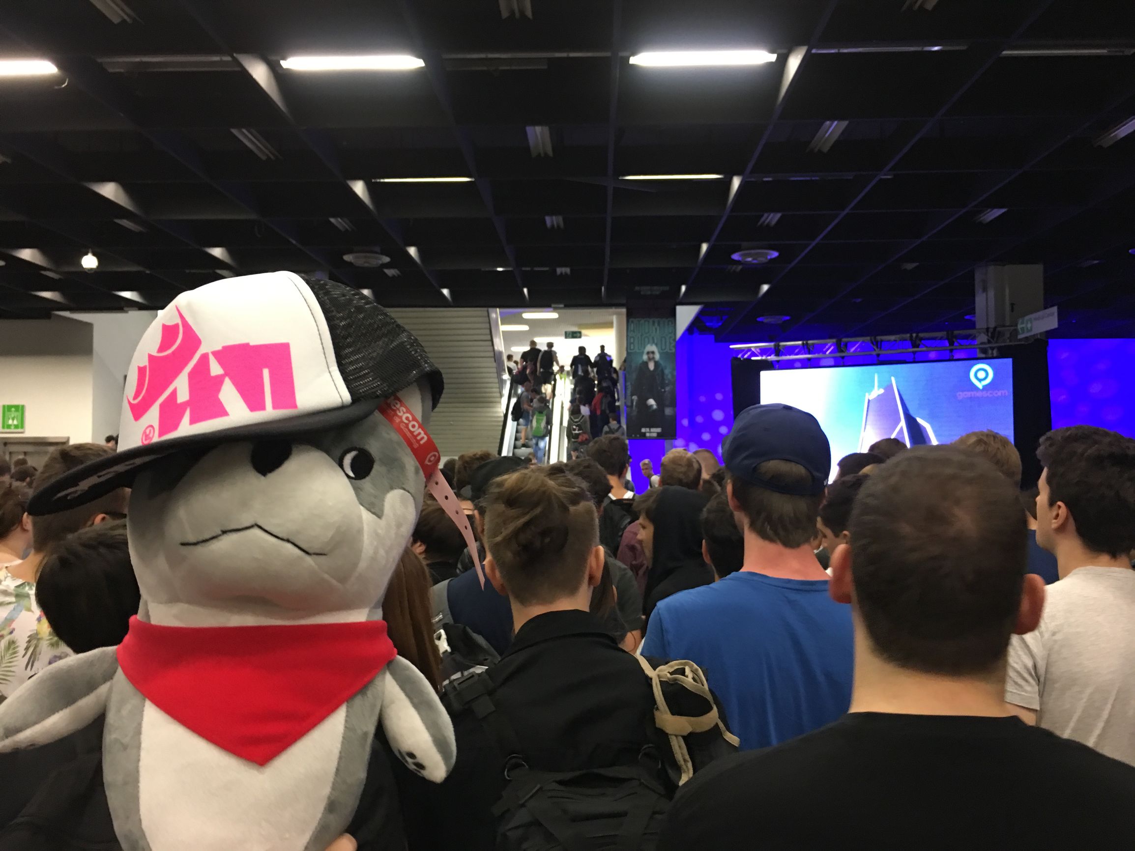 狗头奇妙冒险50,狗头的奇妙冒险预告