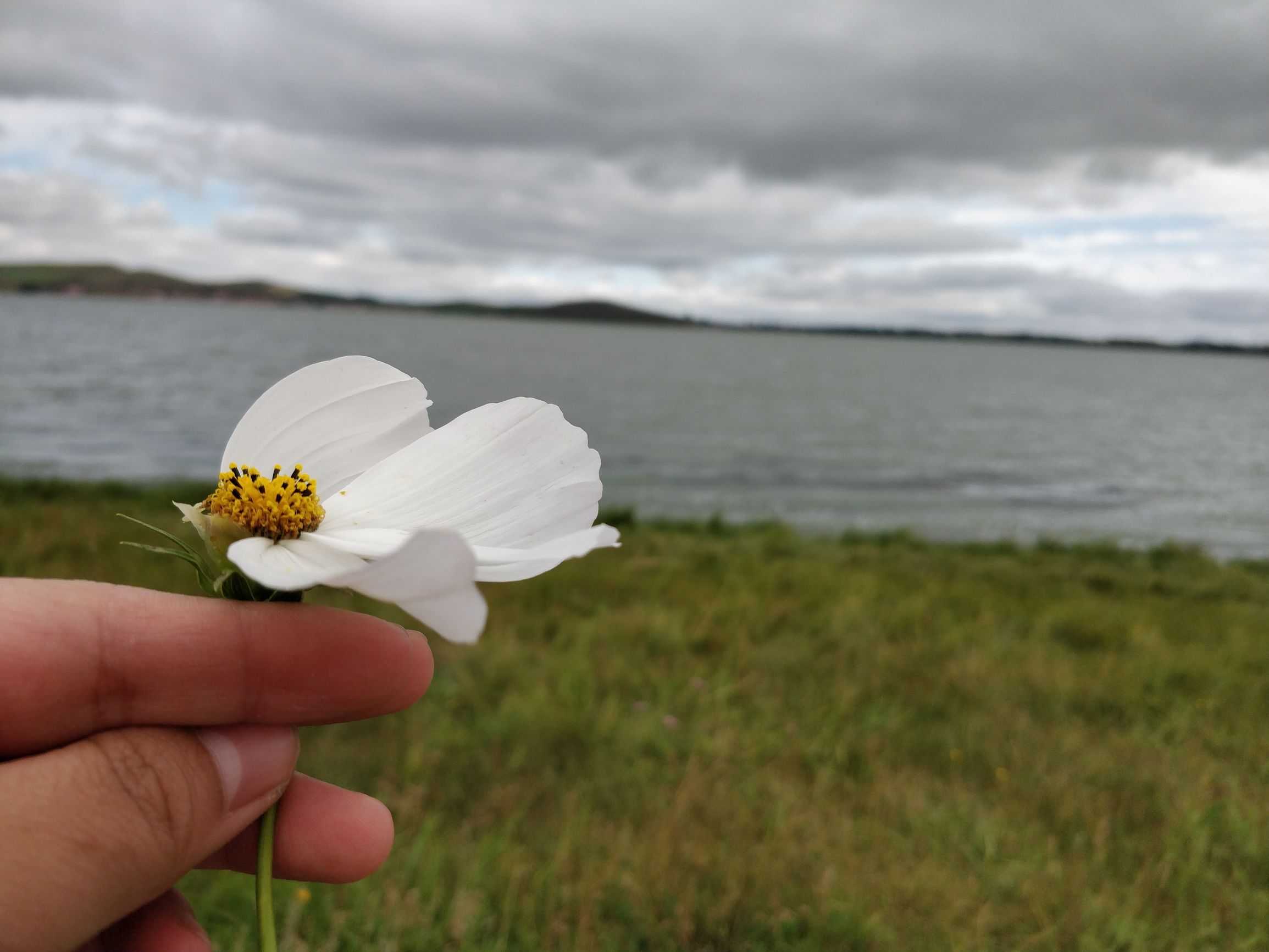 夏末自驾正当游!沽源天鹅湖游山玩水逛草原