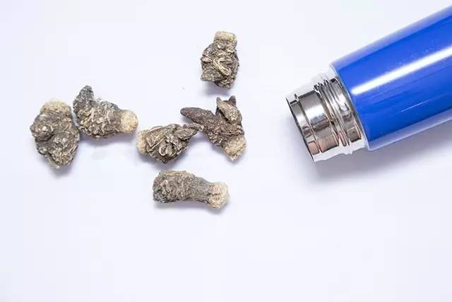 保温杯里有什么植物好养活,保温杯里有什么东西不能放